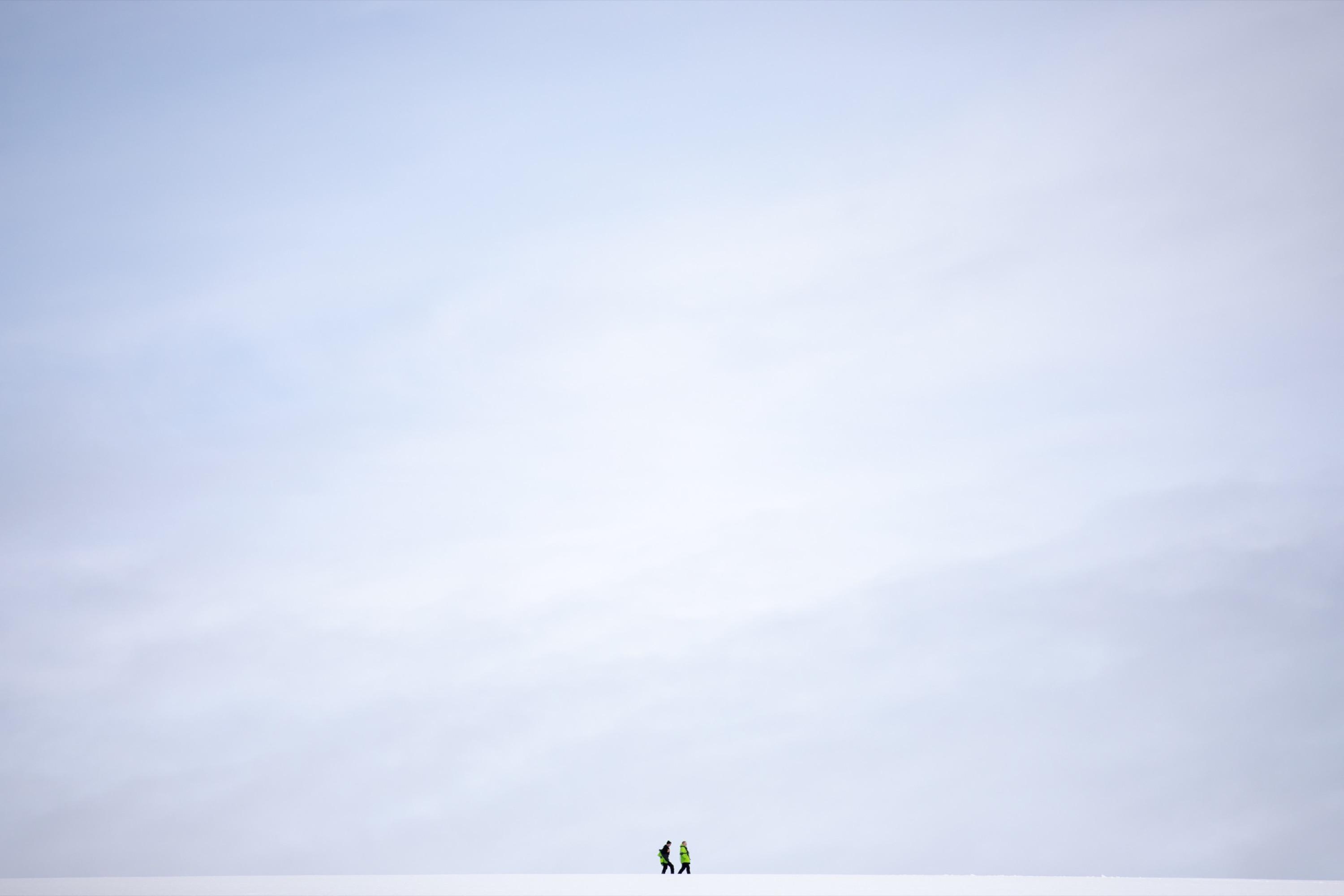 Penguins on ice