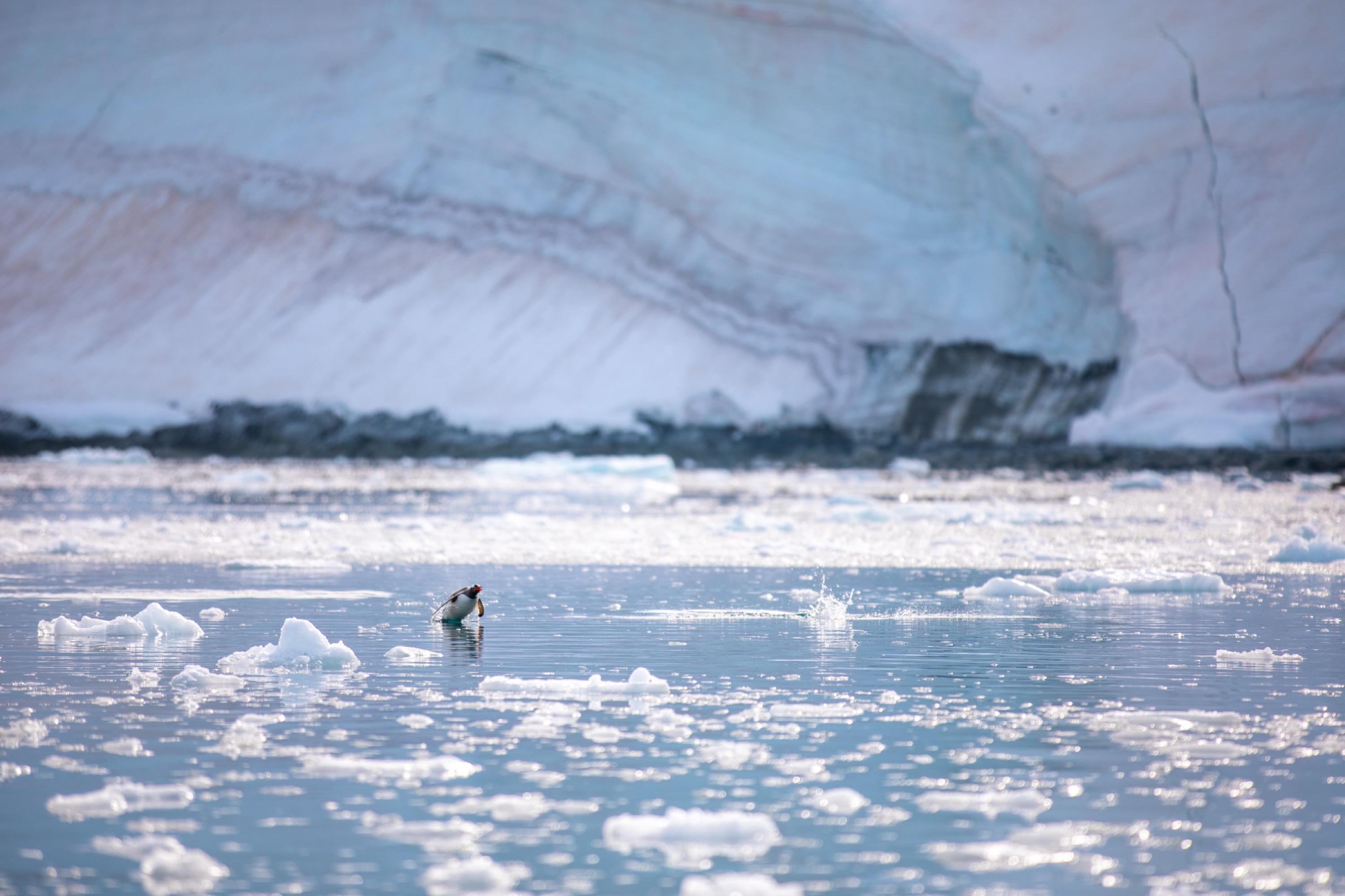 Antarctica