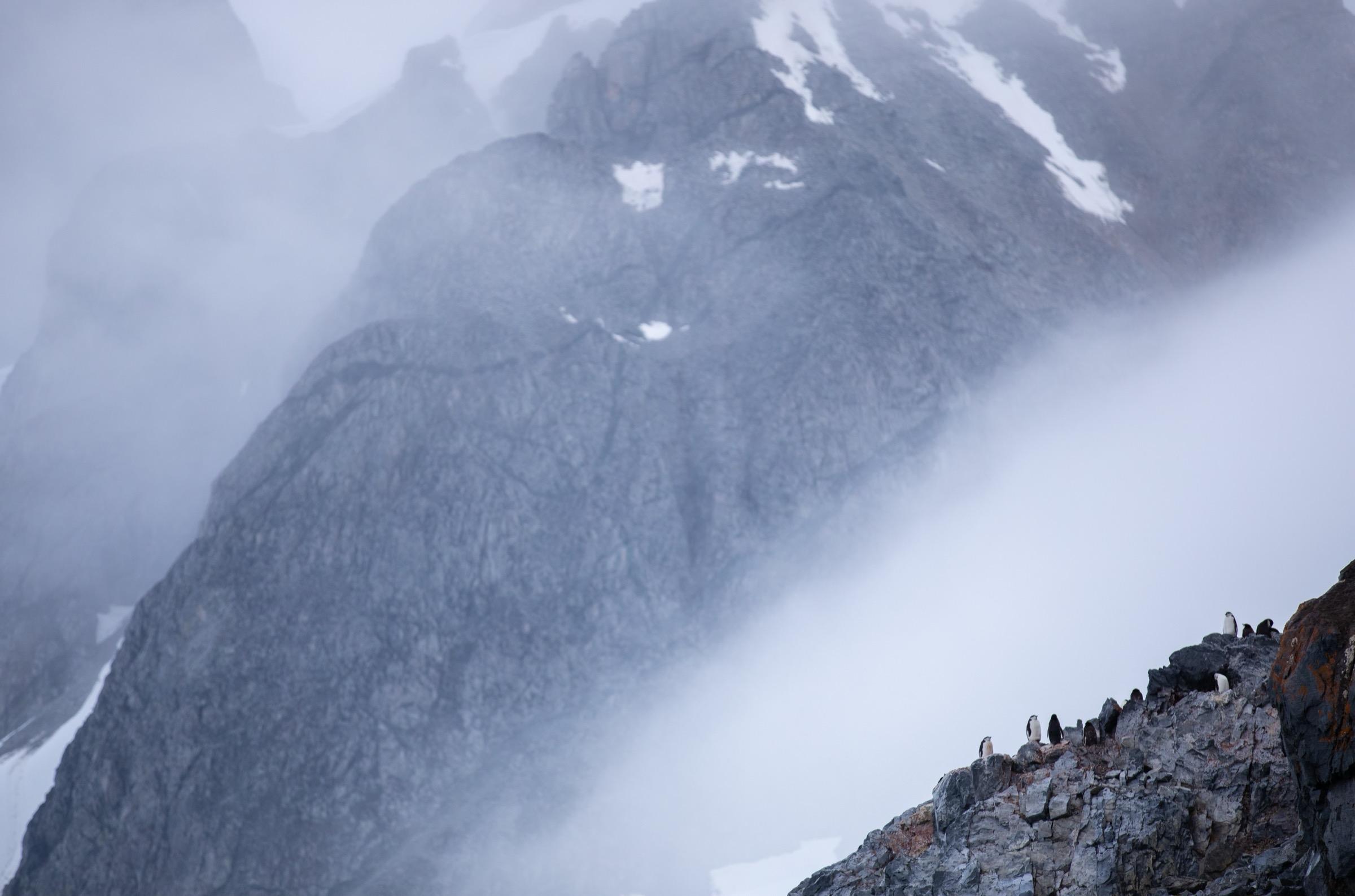 Antarctica