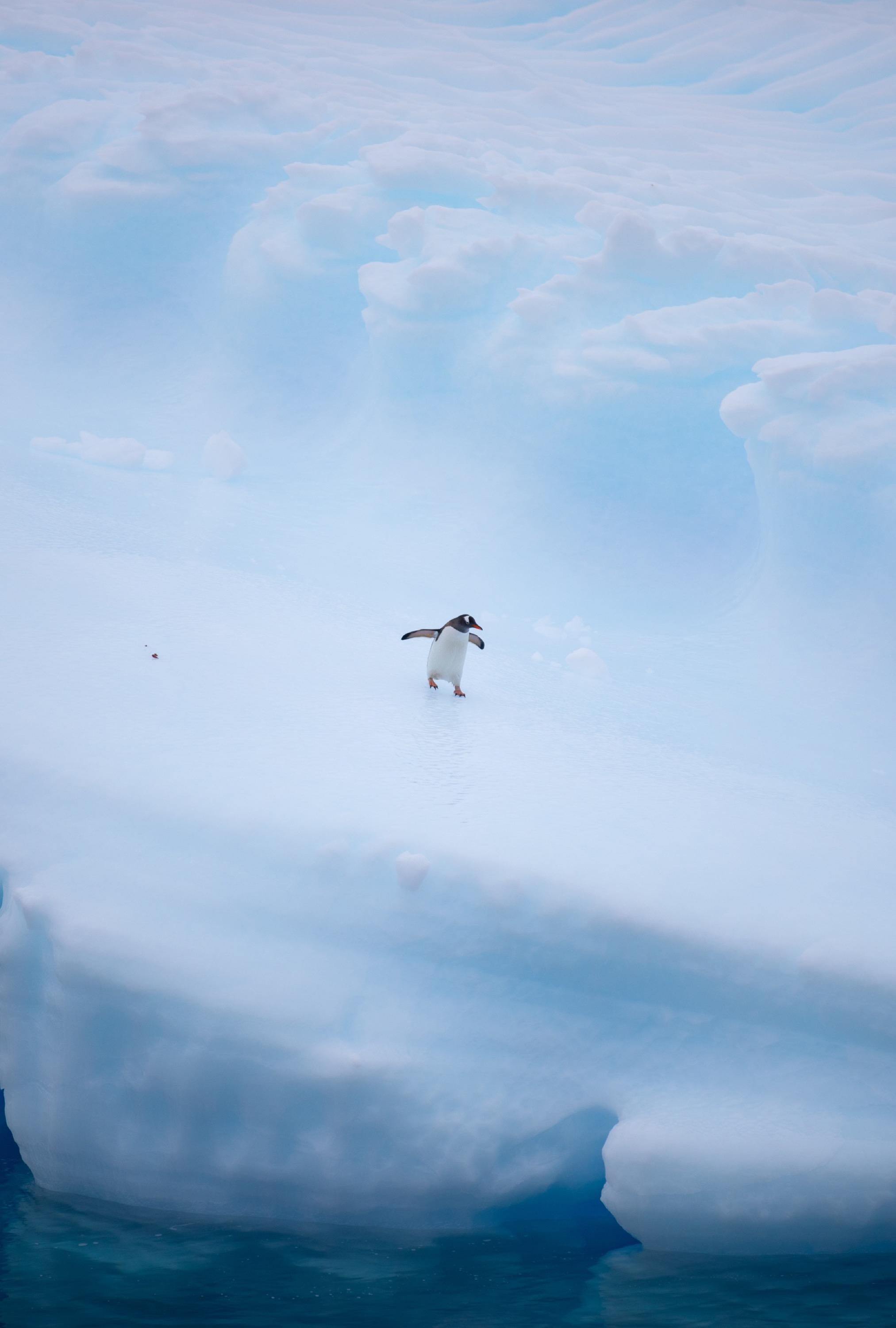Antarctica