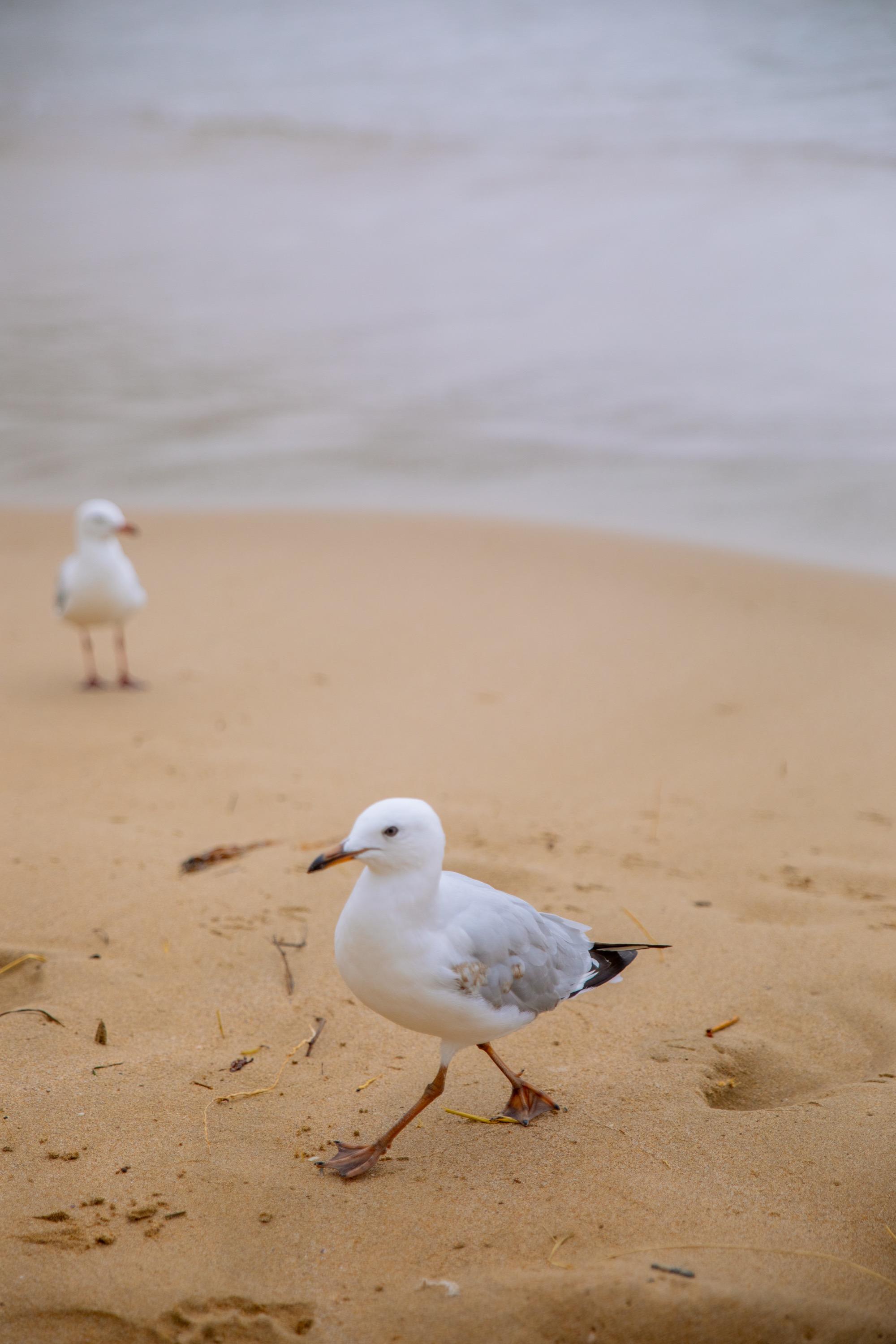 Australia