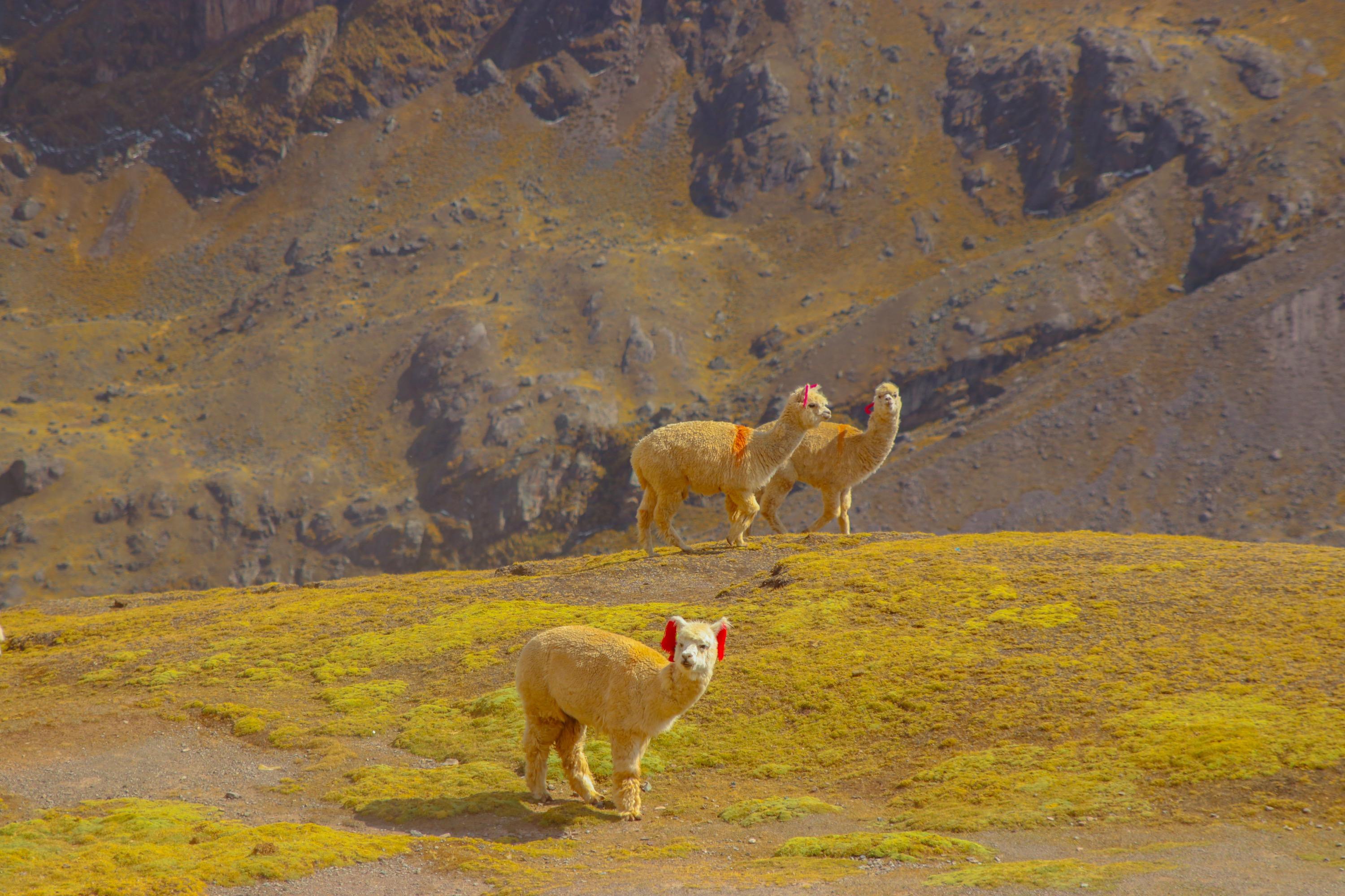 Peru
