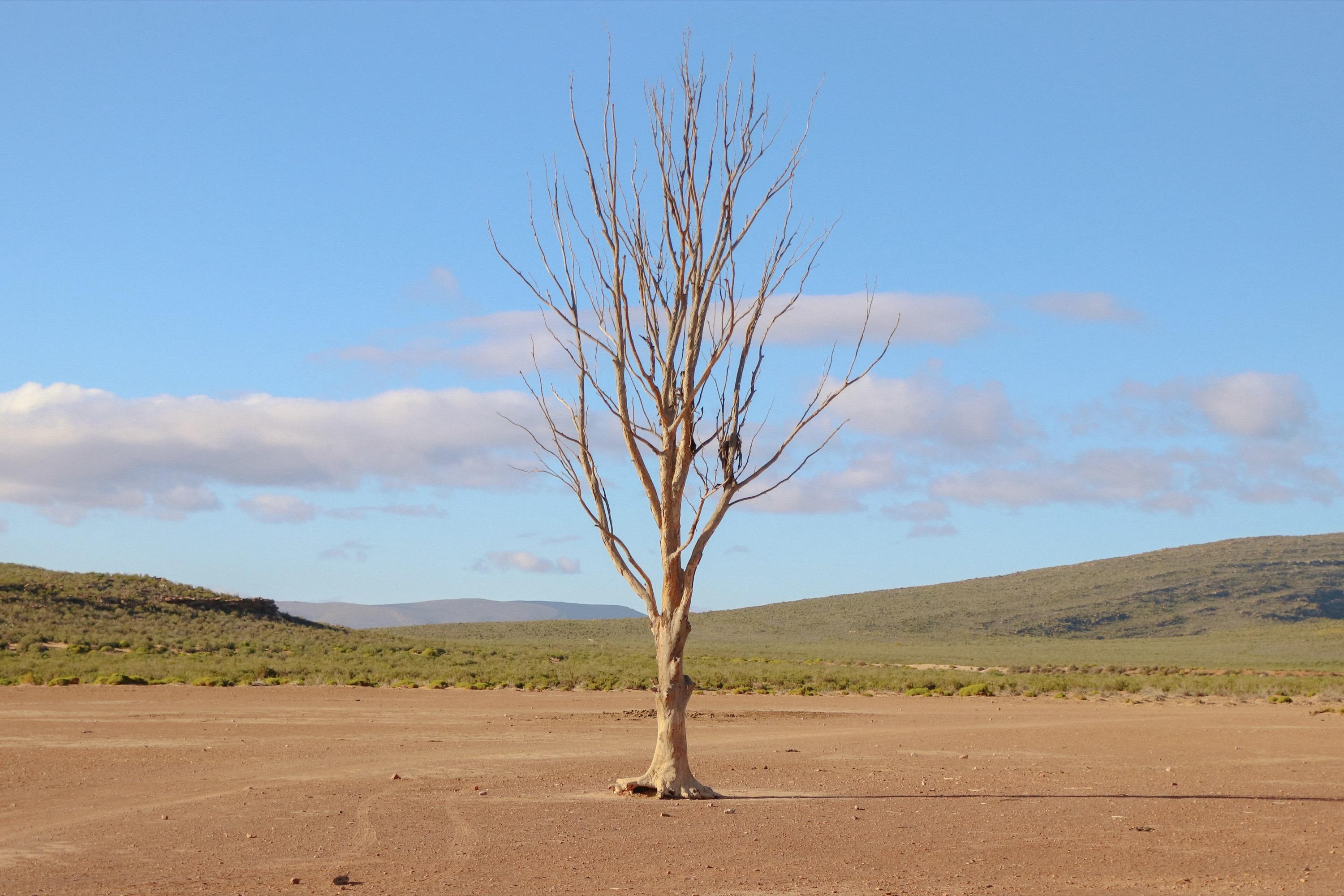 South Africa