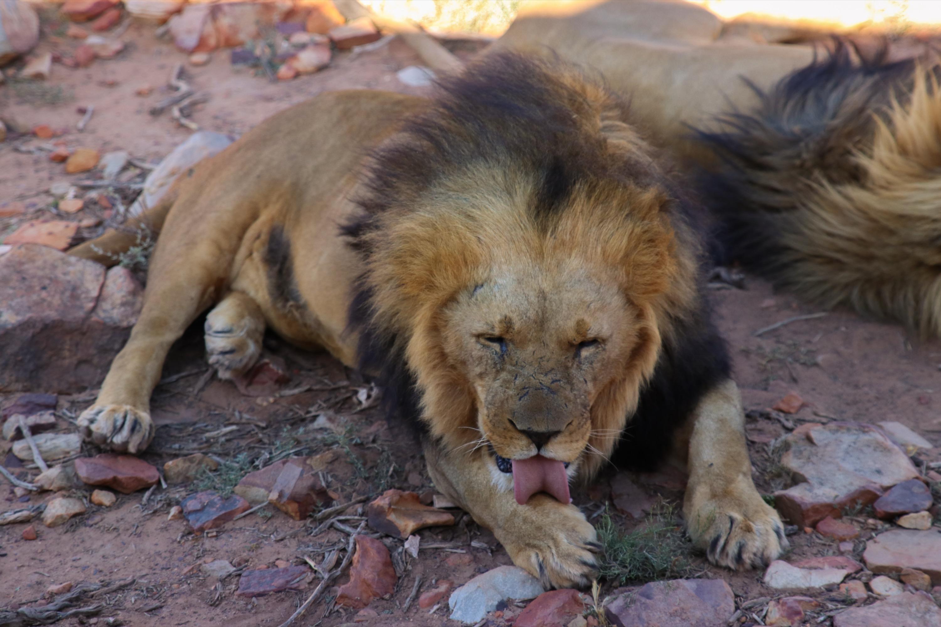 South Africa