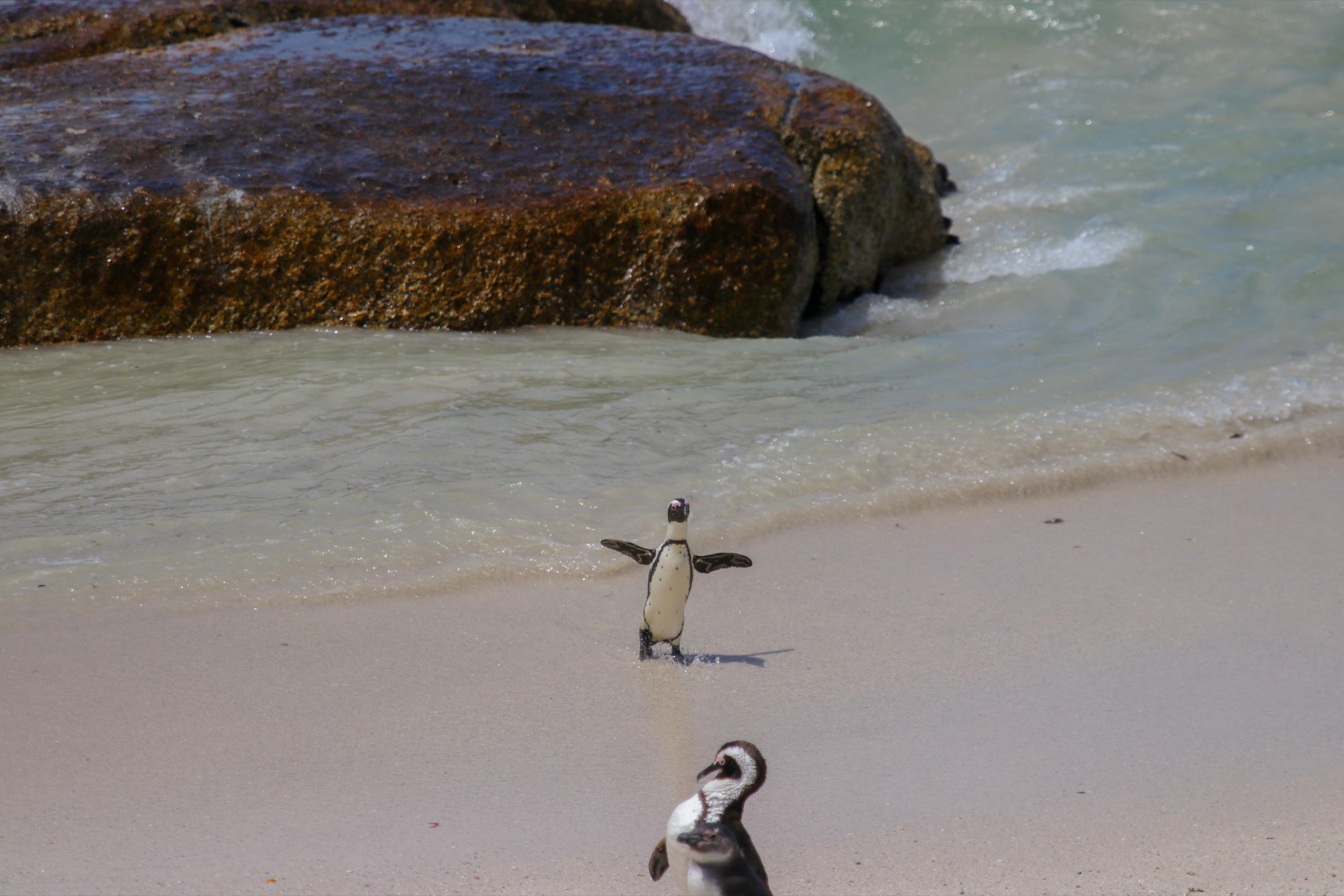 South Africa