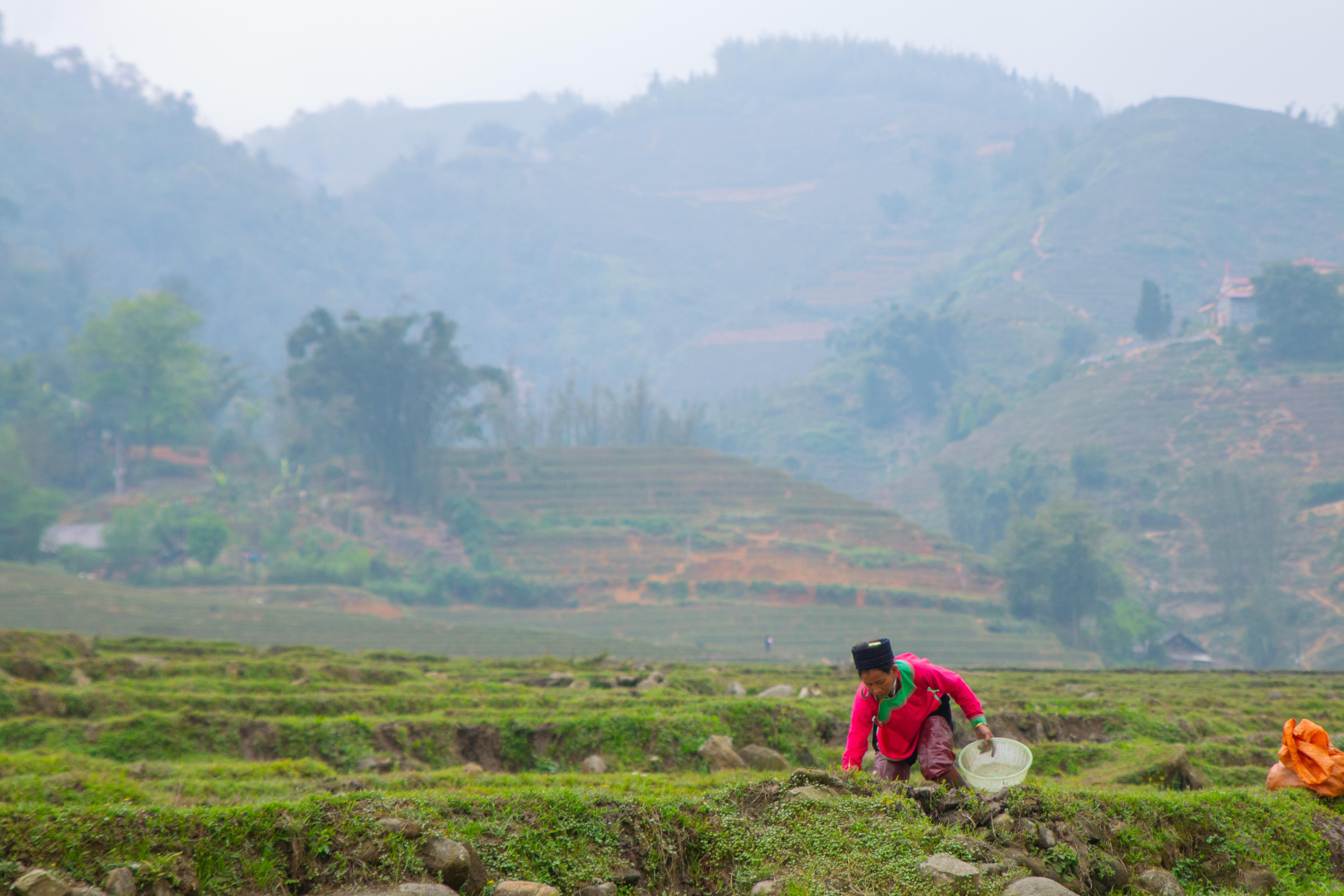 Vietnam