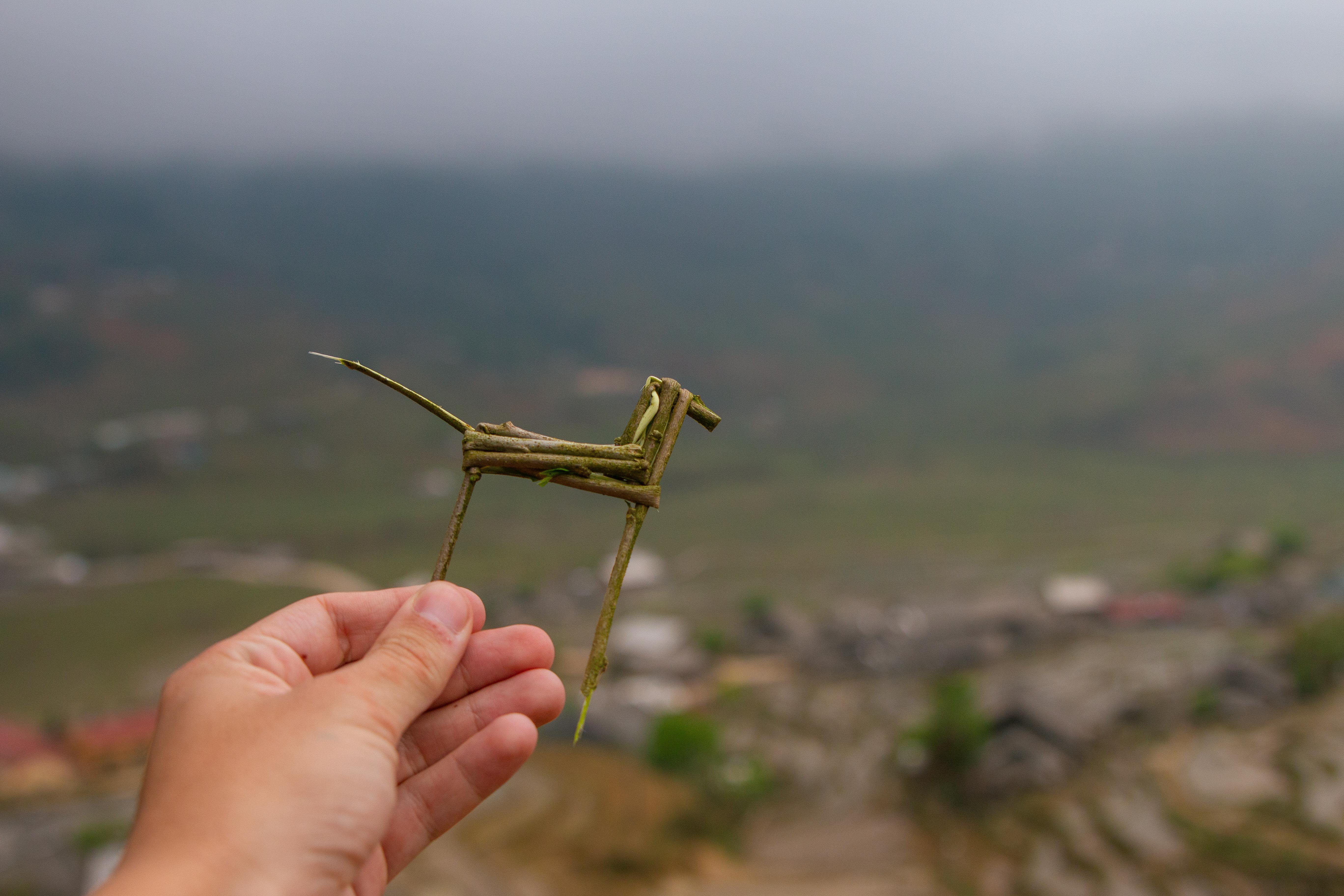 Vietnam